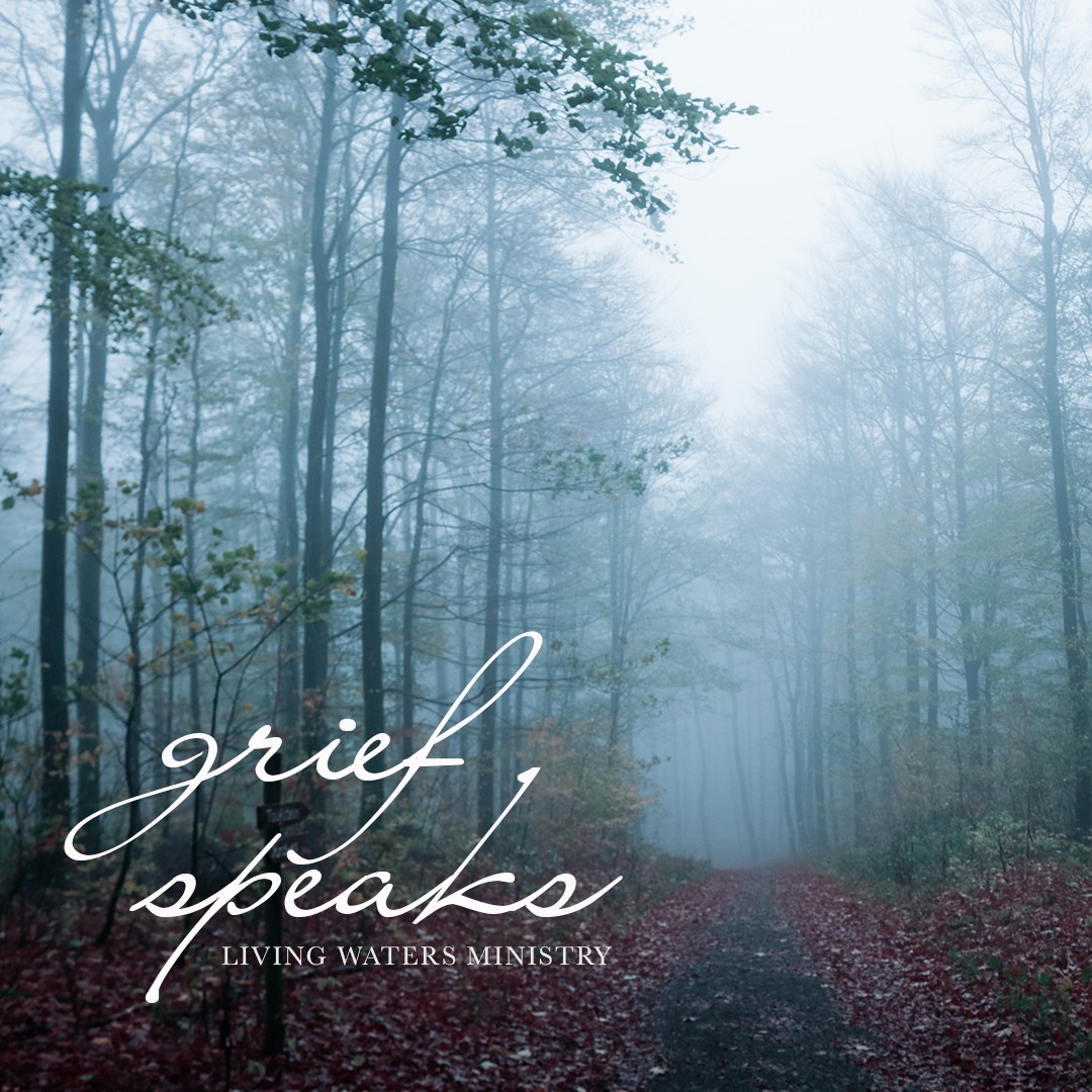 grief speaks denise boggs